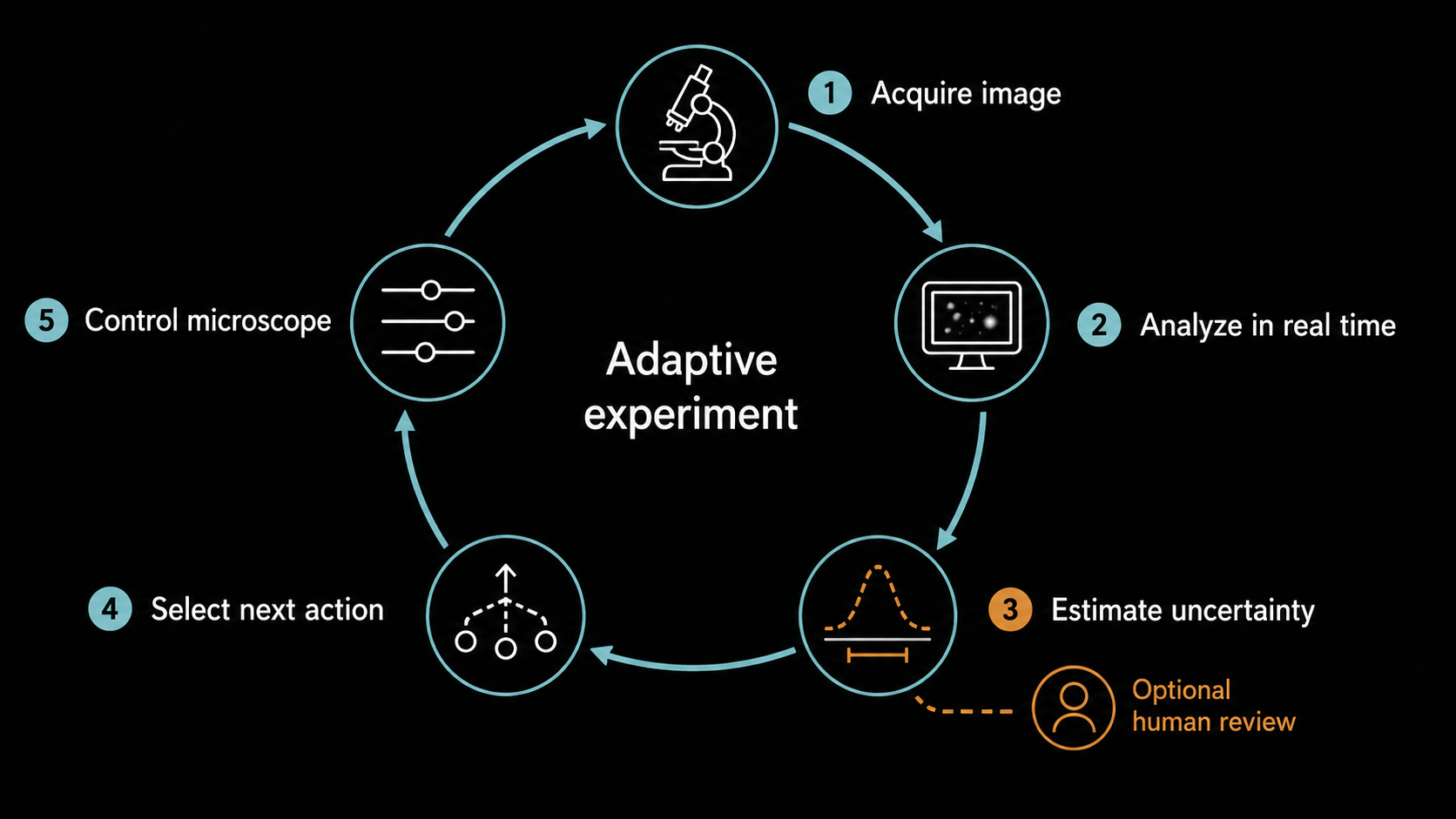 Closed-loop microscopy: observe, interpret, decide, act, learn