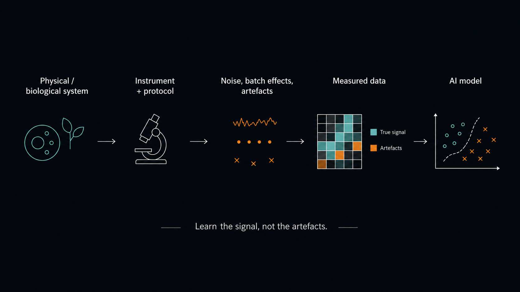 The Case for AI That Learns More From Less